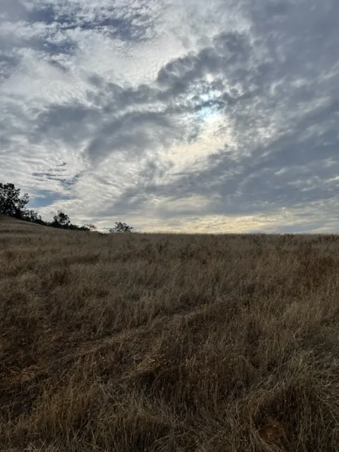 overcast sunrise outdoors