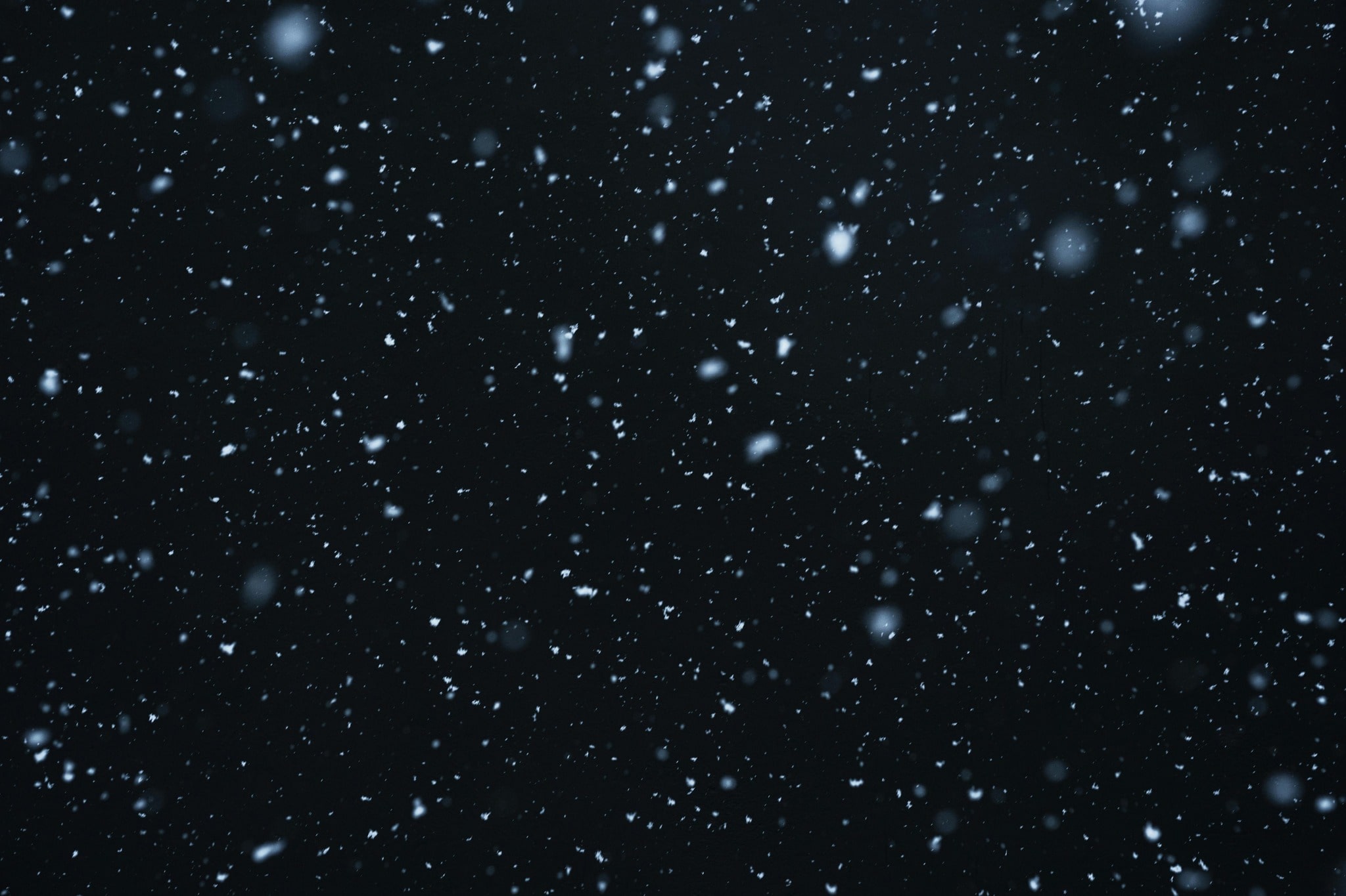 the stars