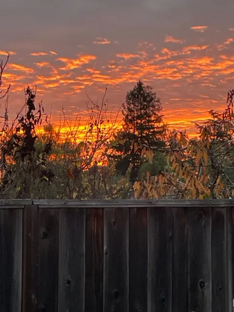 Sunset over the fence