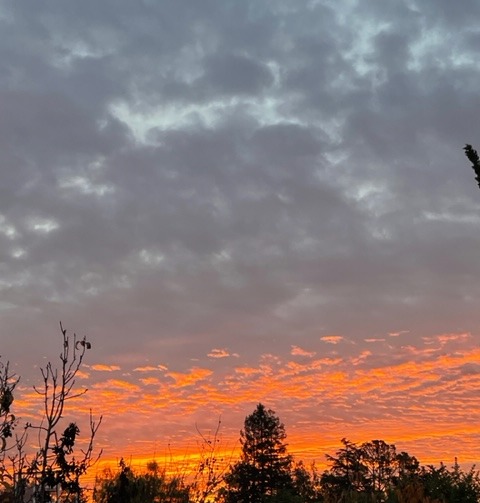 orange sunrise